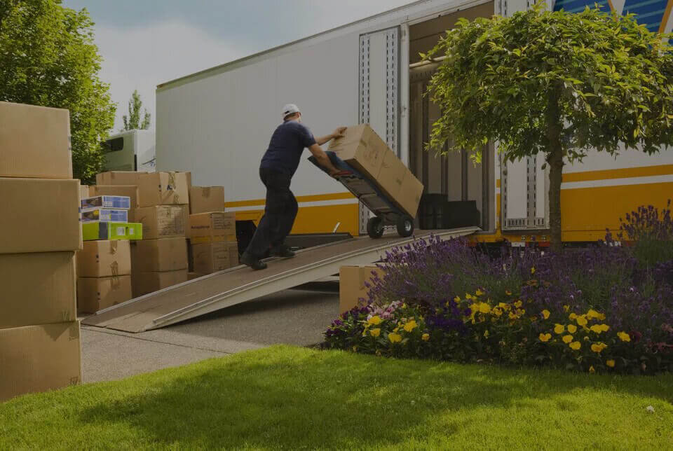 The Top Removals